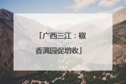 广西三江：椒香满园促增收