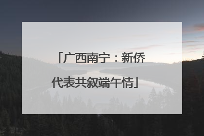 广西南宁：新侨代表共叙端午情
