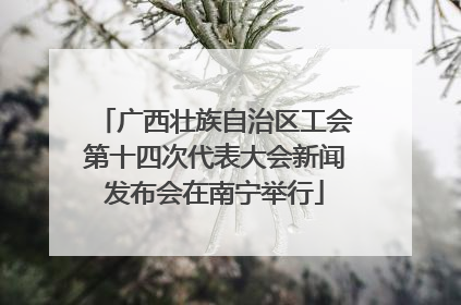广西壮族自治区工会第十四次代表大会新闻发布会在南宁举行