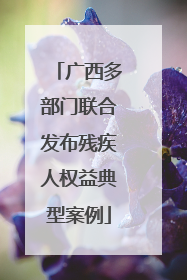 广西多部门联合发布残疾人权益典型案例