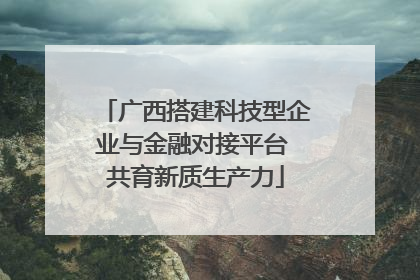 广西搭建科技型企业与金融对接平台 共育新质生产力