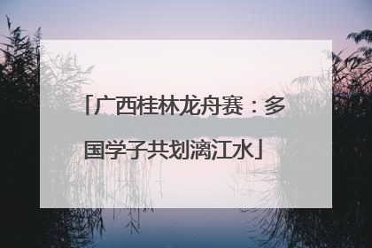 广西桂林龙舟赛：多国学子共划漓江水