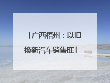广西梧州：以旧换新汽车销售旺