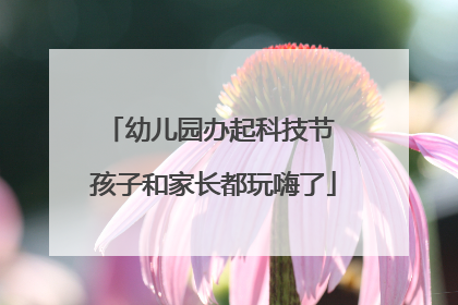 幼儿园办起科技节 孩子和家长都玩嗨了
