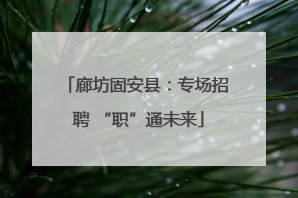 廊坊固安县：专场招聘 “职”通未来