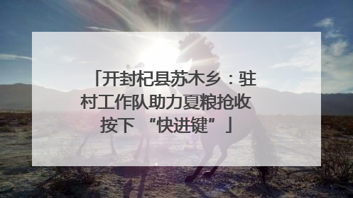 开封杞县苏木乡：驻村工作队助力夏粮抢收按下 “快进键”