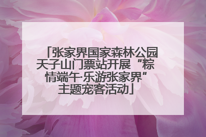 张家界国家森林公园天子山门票站开展“粽情端午·乐游张家界”主题宠客活动