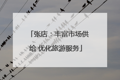 张店：丰富市场供给 优化旅游服务