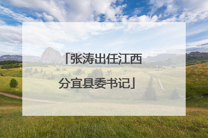 张涛出任江西分宜县委书记