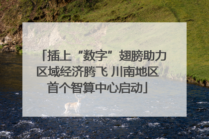 插上“数字”翅膀助力区域经济腾飞 川南地区首个智算中心启动