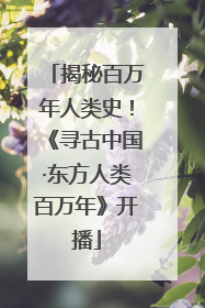 揭秘百万年人类史！《寻古中国·东方人类百万年》开播