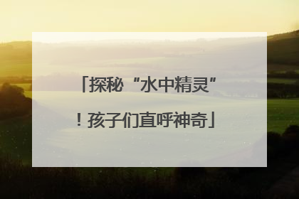 探秘“水中精灵”！孩子们直呼神奇