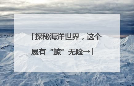 探秘海洋世界，这个展有“鲸”无险→