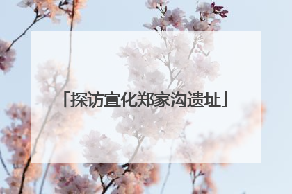 探访宣化郑家沟遗址
