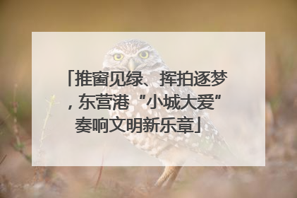 推窗见绿、挥拍逐梦，东营港“小城大爱”奏响文明新乐章