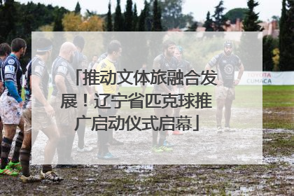 推动文体旅融合发展！辽宁省匹克球推广启动仪式启幕