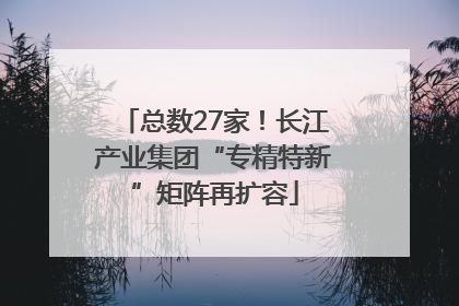总数27家！长江产业集团“专精特新”矩阵再扩容