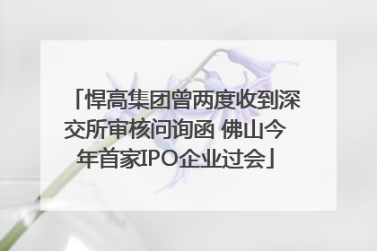 悍高集团曾两度收到深交所审核问询函 佛山今年首家IPO企业过会