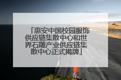 惠安中国校园服饰供应链集散中心和世界石雕产业供应链集散中心正式揭牌