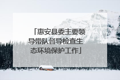 惠安县委主要领导带队督导检查生态环境保护工作