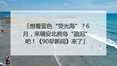 想看蓝色“荧光海”？6月，来瑞安北麂岛“追泪”吧！《90早新闻》来了