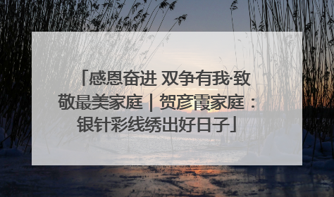 感恩奋进 双争有我·致敬最美家庭｜贺彦霞家庭：银针彩线绣出好日子