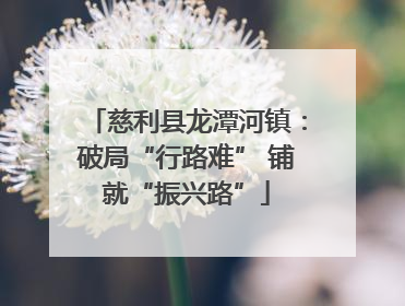 慈利县龙潭河镇：破局“行路难” 铺就“振兴路”