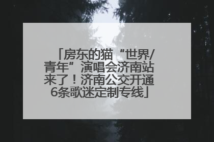 房东的猫“世界/青年”演唱会济南站来了！济南公交开通6条歌迷定制专线