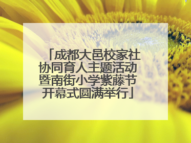 成都大邑校家社协同育人主题活动暨南街小学紫藤节开幕式圆满举行