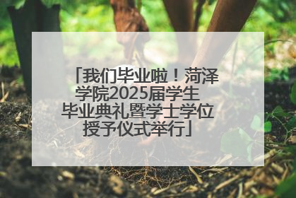 我们毕业啦！菏泽学院2025届学生毕业典礼暨学士学位授予仪式举行