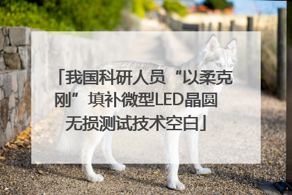 我国科研人员“以柔克刚”填补微型LED晶圆无损测试技术空白