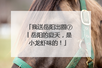 我送岳阳出圈⑦丨岳阳的夏天，是小龙虾味的！