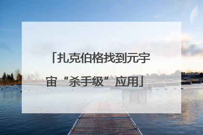扎克伯格找到元宇宙“杀手级”应用