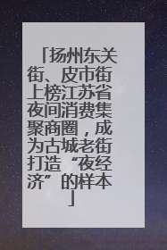 扬州东关街、皮市街上榜江苏省夜间消费集聚商圈，成为古城老街打造“夜经济”的样本
