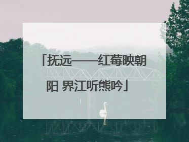 抚远——红莓映朝阳 界江听熊吟