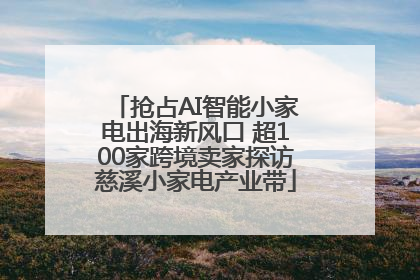 抢占AI智能小家电出海新风口 超100家跨境卖家探访慈溪小家电产业带