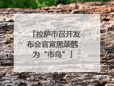 拉萨市召开发布会官宣黑颈鹤为“市鸟”