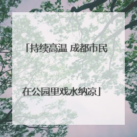 持续高温 成都市民在公园里戏水纳凉