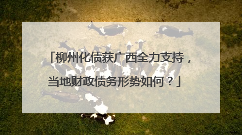 柳州化债获广西全力支持，当地财政债务形势如何？