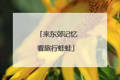 来东郊记忆 看旅行蛙蛙