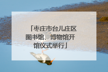 枣庄市台儿庄区图书馆、博物馆开馆仪式举行