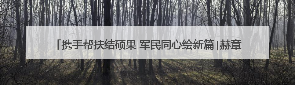 携手帮扶结硕果 军民同心绘新篇∣赫章县人武部助力大凉山村阔步乡村振兴路
