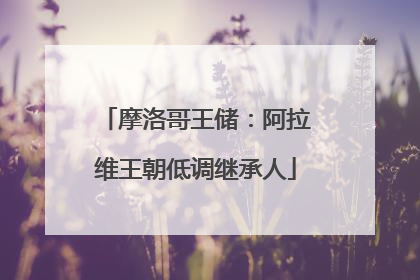 摩洛哥王储：阿拉维王朝低调继承人