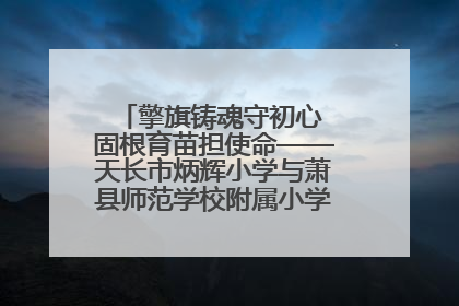 擎旗铸魂守初心 固根育苗担使命——天长市炳辉小学与萧县师范学校附属小学结对共建活动纪实