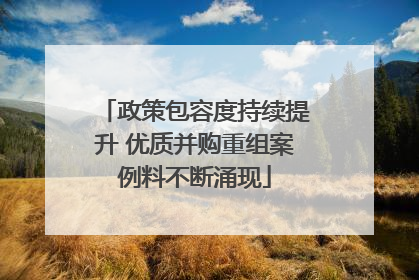 政策包容度持续提升 优质并购重组案例料不断涌现