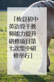 攸县初中英语骨干教师能力提升研修项目第七次集中研修举行