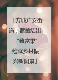 方城广安街道：蓝莓结出 “致富果” 绘就乡村振兴新图景