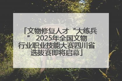 文物修复人才“大练兵” 2025年全国文物行业职业技能大赛四川省选拔赛即将启幕