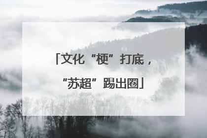 文化“梗”打底，“苏超”踢出圈