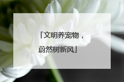 文明养宠物，蔚然树新风